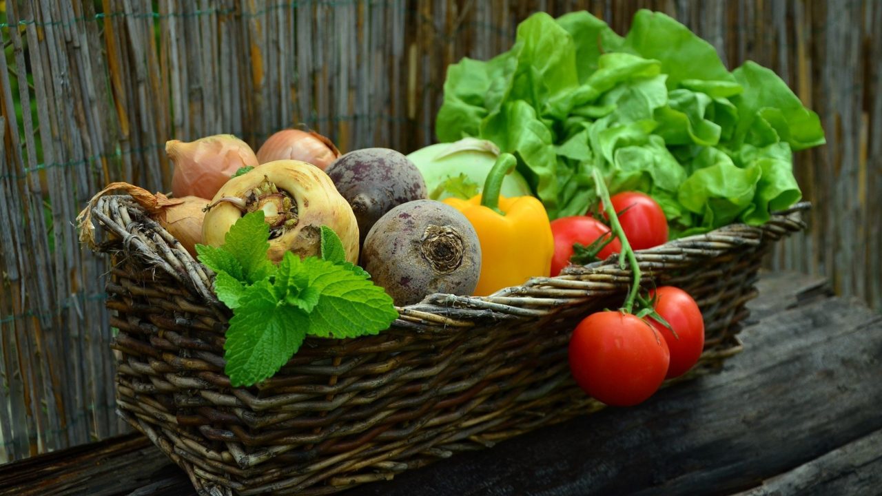 Miracol irlandez în agricultura ecologică: 11 fermieri au ajuns să încaseze milioane de euro, în cadrul Parteneriatului European pentru Inovare în Agricultură; România, zero proiecte!