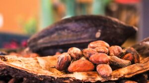 cafea, cacao, preturi, citi
