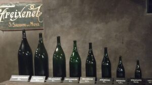Freixenet, cava, Spania, sampanie, calatorii culinare, foodlife, retetele Juanitei