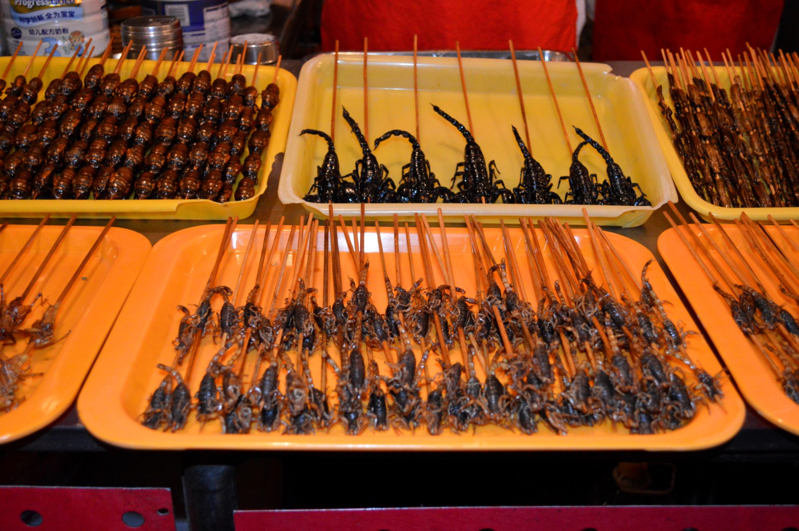 insecte, singapore, alimente, restaurante